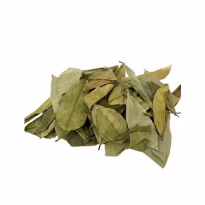 GRAVIOLA - Folhas 50g