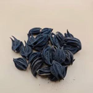 Pazury Lwa 100g – Tradycyjny afrykański korzeń