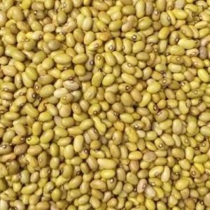 Yellow Beans – Haricots jaunes secs 1 kg