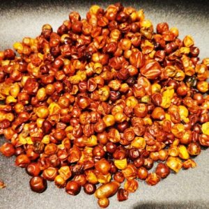 Sementes de Gnangnan 100g – Sabor autêntico africano