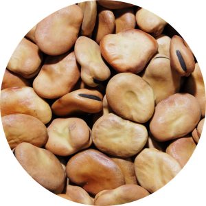 Fave intere 750 g – Un legume nutriente e naturale