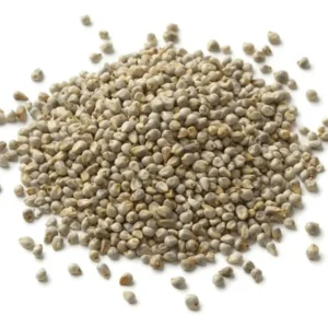 Graine de Mil 500 g – Céréale traditionnelle africaine